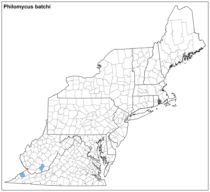 Philomycus batchi Range Map